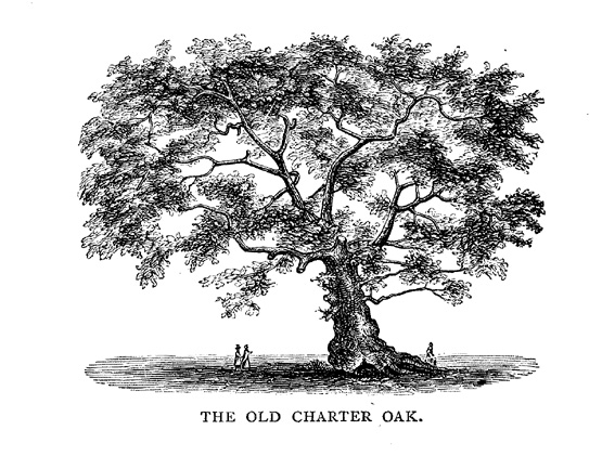 Depiction of the Charter Oak in Hartford, CT Category:History of Connecticut via wikimedia commons