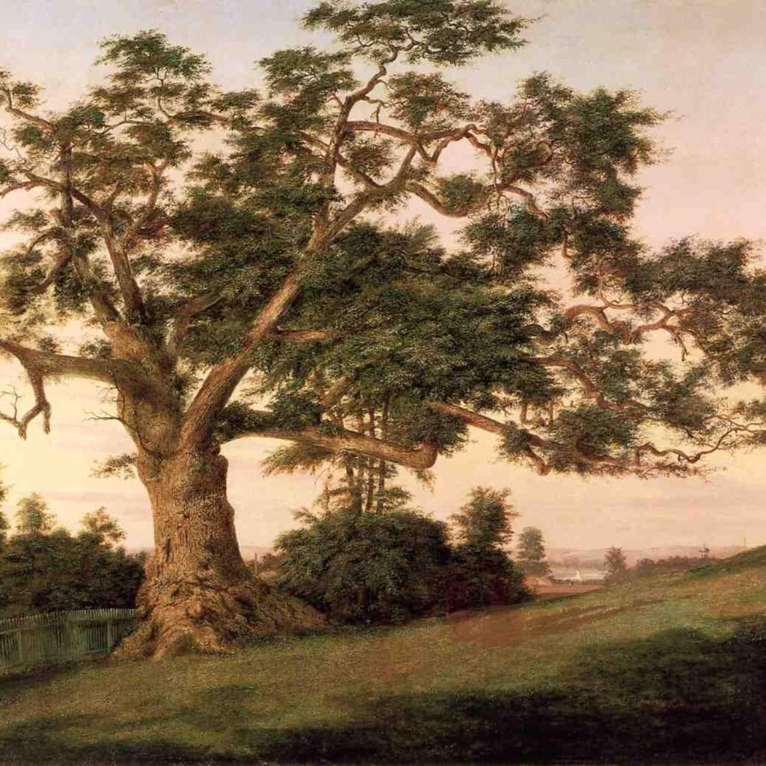 The Charter Oak, oil on canvas, Charles De Wolf Brownell, 1857. Wadsworth Atheneum. Charles De Wolf Brownell, Public domain, via Wikimedia Commons