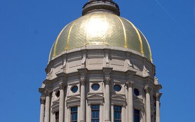 Why Georgia could have taken leadership for AMBRU Campaign