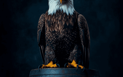 Current Market Baseline for American Brandy and Rum