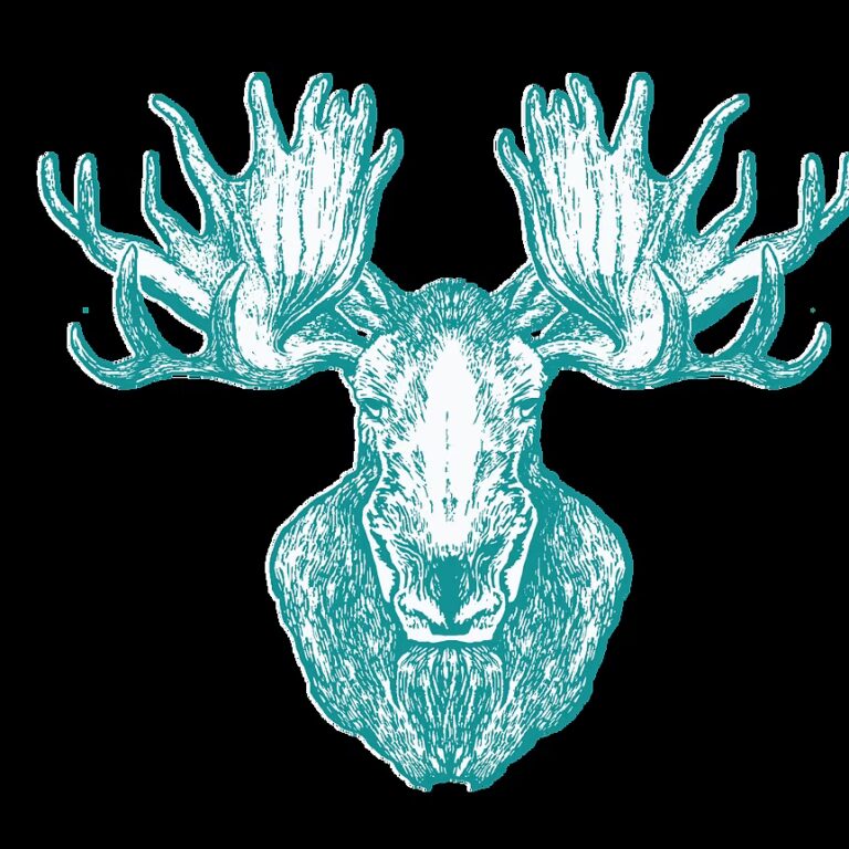 mainMOOSE1 768x768